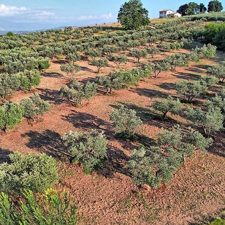 Agriturismo Incanto Della Natura Cannara Kültér fotó